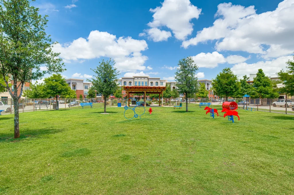 Large fenced dog park with obstacles