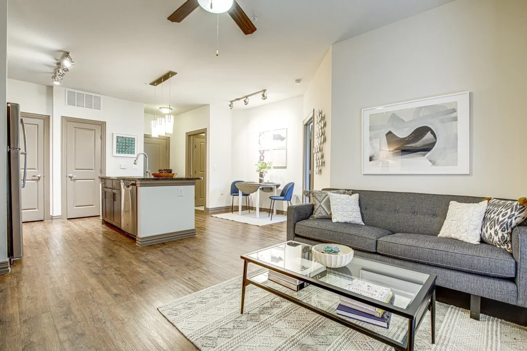 Open living room and kitchen