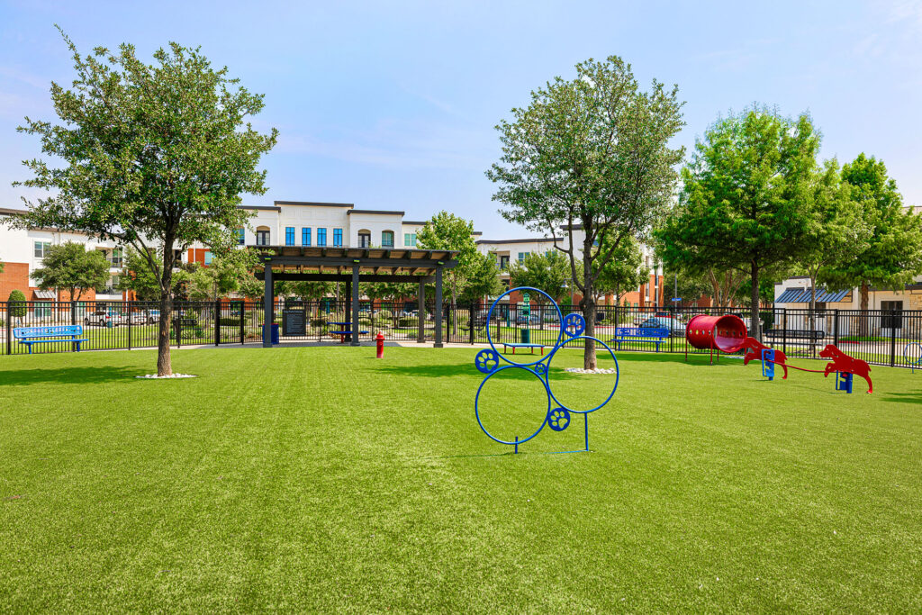 Dog park with activities